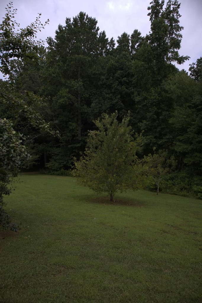 8249 Boardtown Road Ellijay, GA 30540 - Photo 38 of 71 Pear