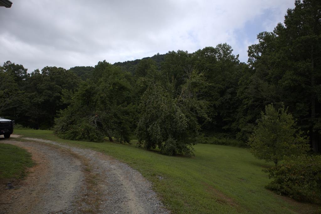 8249 Boardtown Road Ellijay, GA 30540 - Photo 41 of 71