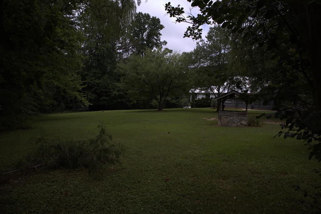 8249 Boardtown Road Ellijay, GA 30540 - Photo 45 of 71