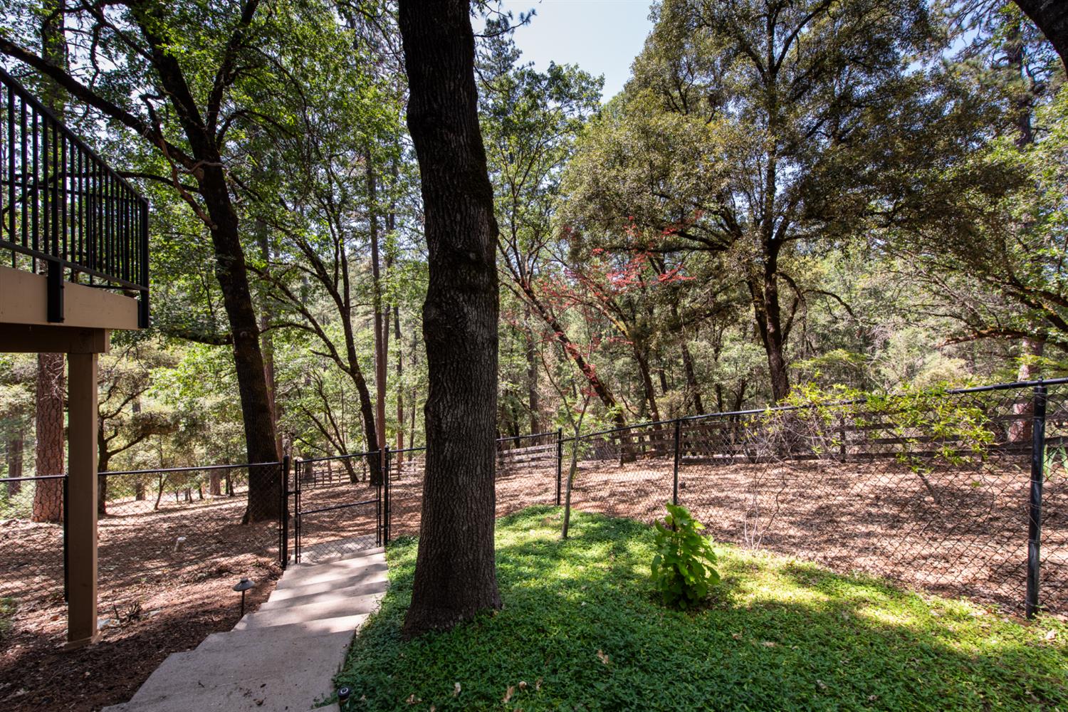 15046 Leiter Way Grass Valley, CA 95949 - Photo 22 of 43 a view of outdoor space with trees