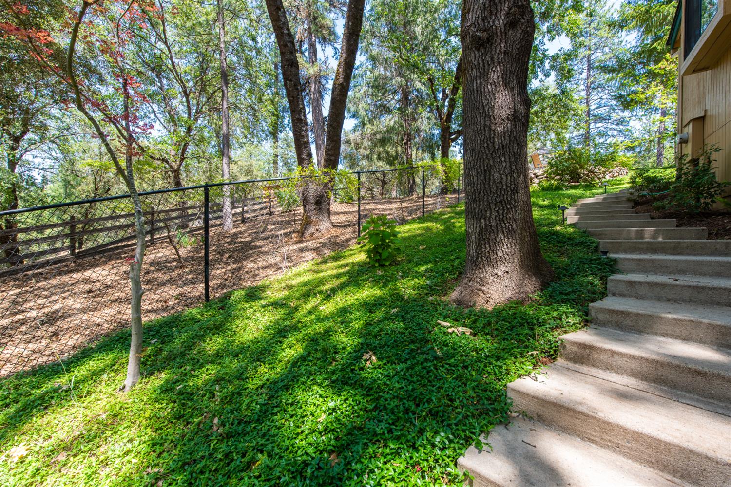 15046 Leiter Way Grass Valley, CA 95949 - Photo 23 of 43 a view of a yard with plants and trees