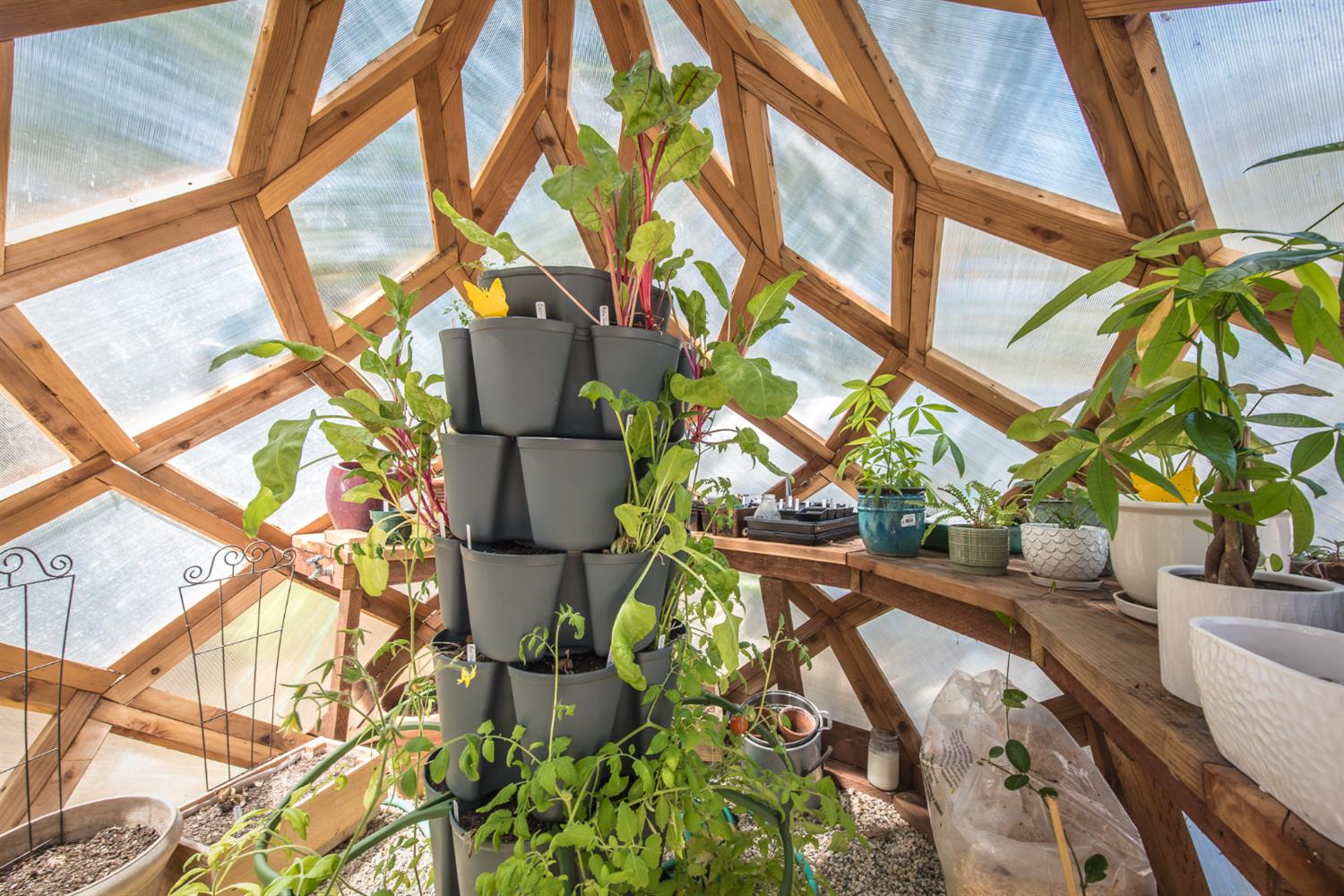 15046 Leiter Way Grass Valley, CA 95949 - Photo 27 of 43 a view of a flower pot