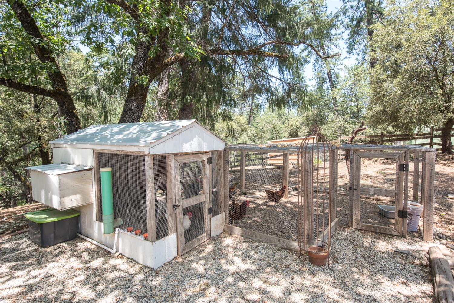 15046 Leiter Way Grass Valley, CA 95949 - Photo 29 of 43 a view of a house with a yard