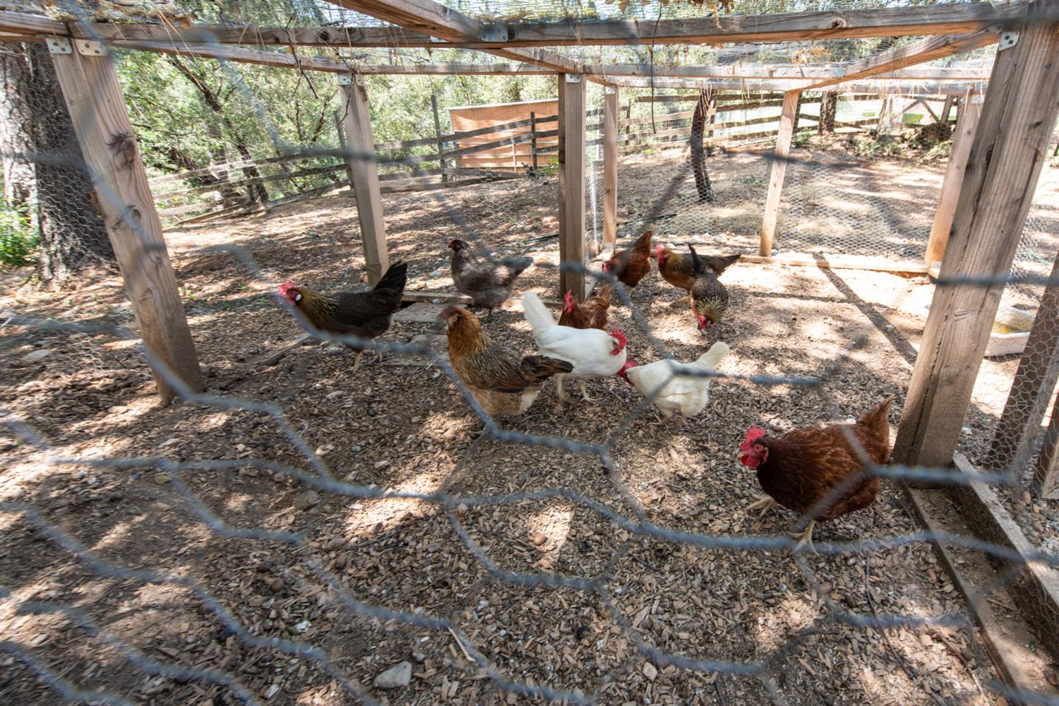 15046 Leiter Way Grass Valley, CA 95949 - Photo 30 of 43 a view of outdoor space