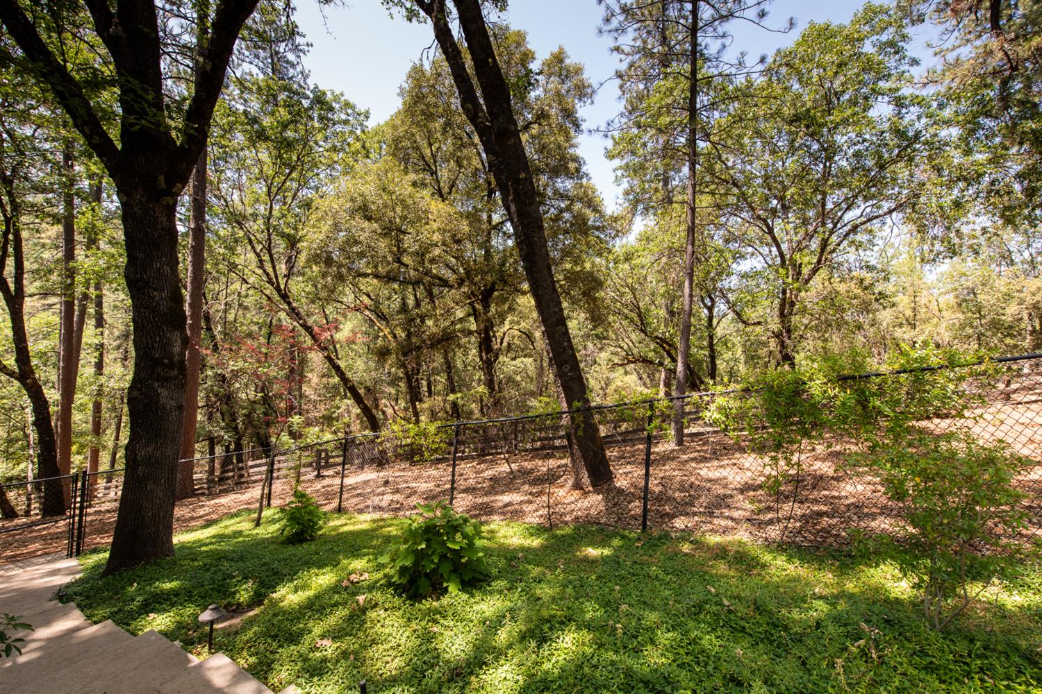 15046 Leiter Way Grass Valley, CA 95949 - Photo 31 of 43 a view of outdoor space with a garden