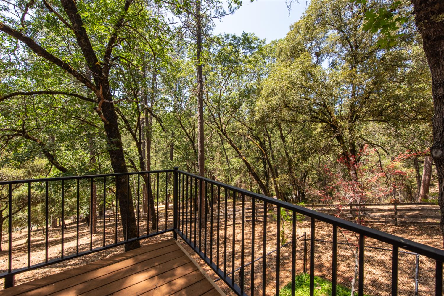 15046 Leiter Way Grass Valley, CA 95949 - Photo 36 of 43 a view of a balcony with a pot