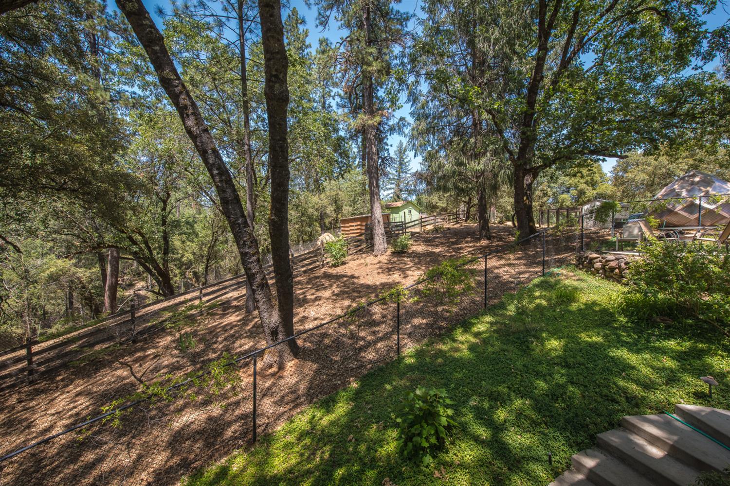 15046 Leiter Way Grass Valley, CA 95949 - Photo 37 of 43 a view of a yard with large trees