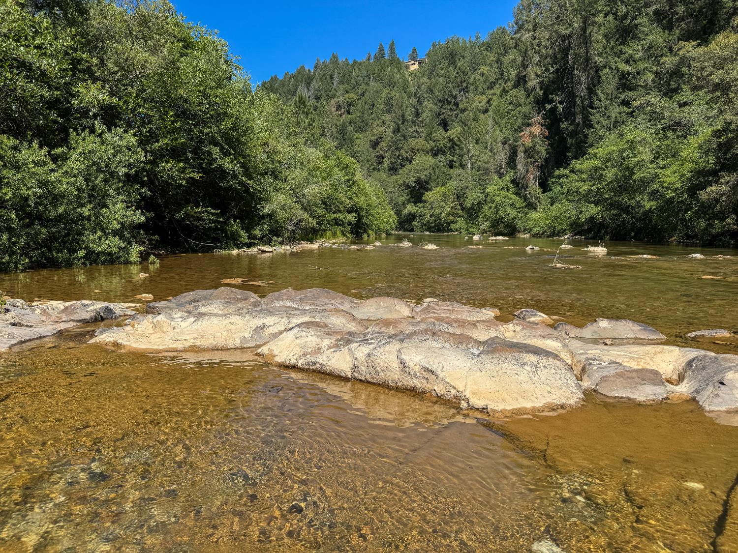 15046 Leiter Way Grass Valley, CA 95949 - Photo 4 of 43 a view of an ocean beach