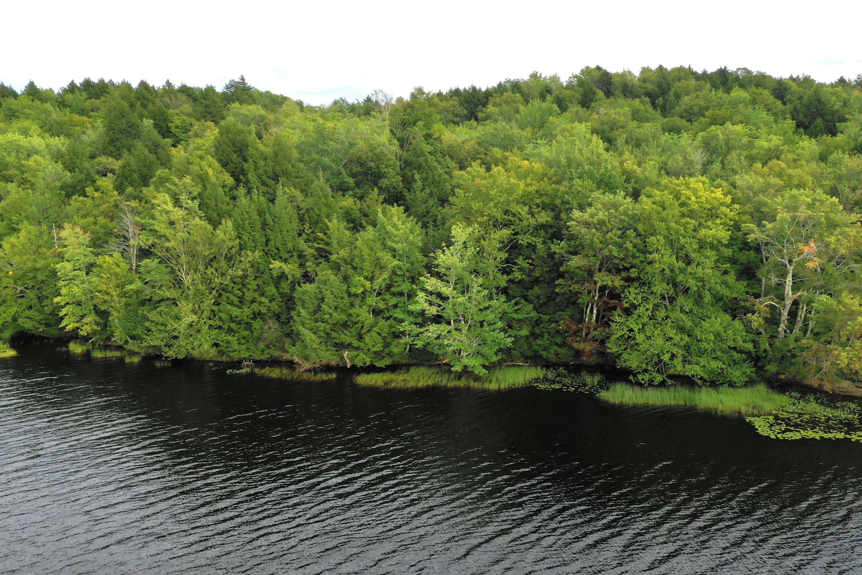 1 Goosepecker Ridge Road Montville, ME 04941 - Photo 5 of 11 DJI_0015