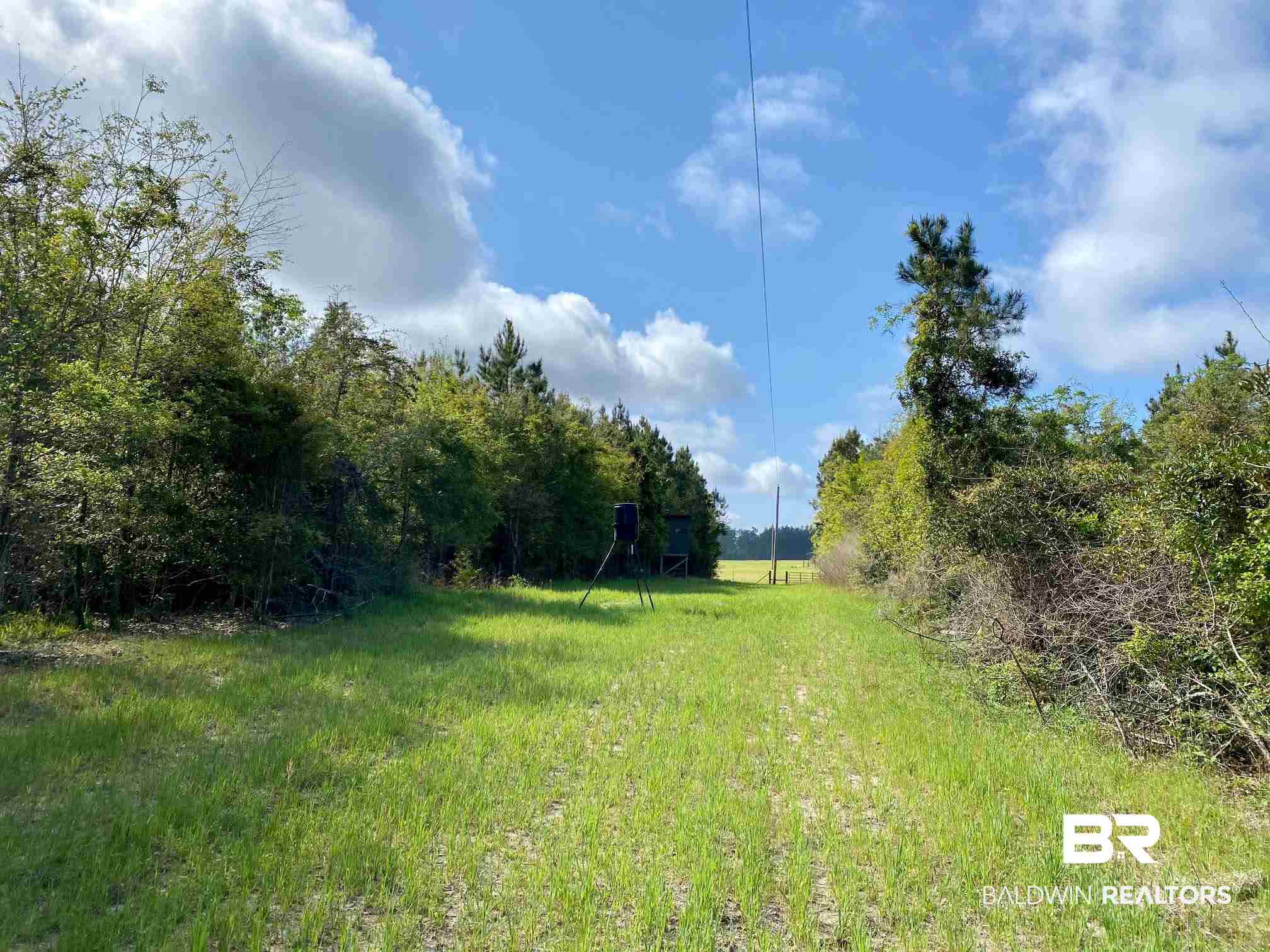 1069 Cemetery Road Range, AL 36473 - Photo 18 of 26