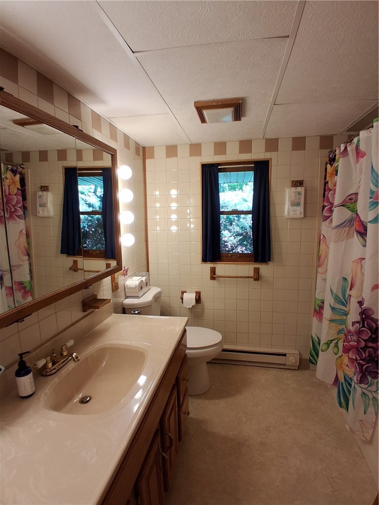 3834 Cranes Road Addison, NY 14801 - Photo 10 of 20 Main bath