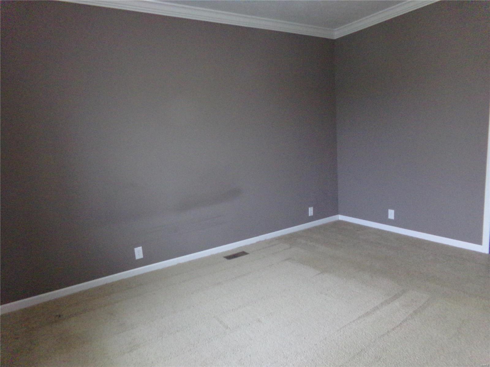 13724 Meffert Road Pocahontas, IL 62275 - Photo 21 of 36