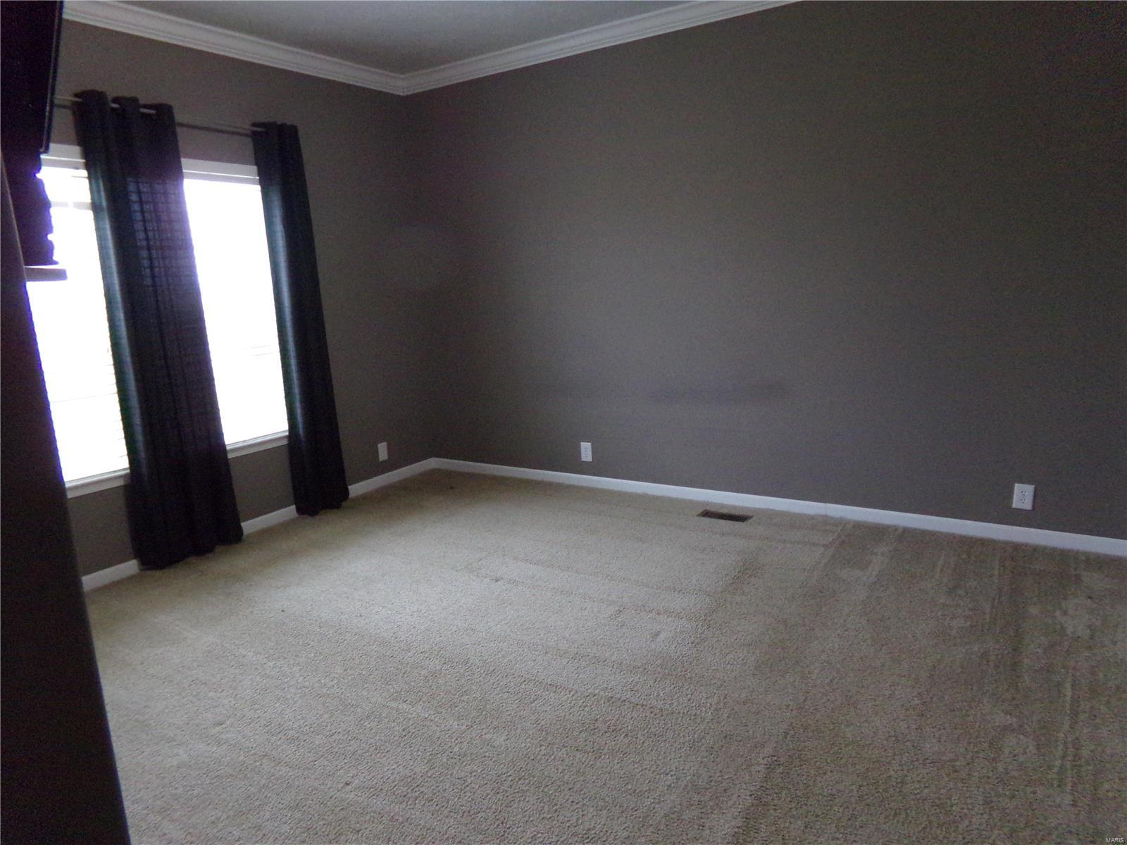 13724 Meffert Road Pocahontas, IL 62275 - Photo 22 of 36