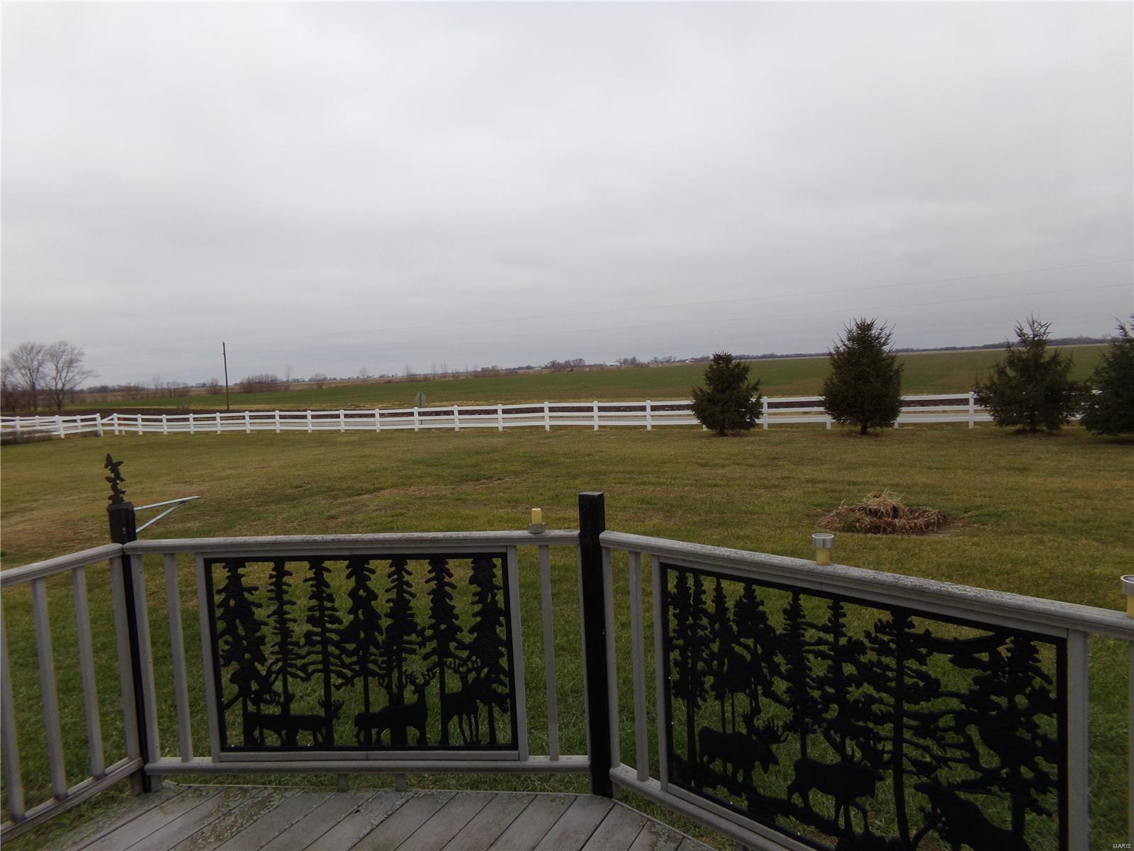 13724 Meffert Road Pocahontas, IL 62275 - Photo 30 of 36