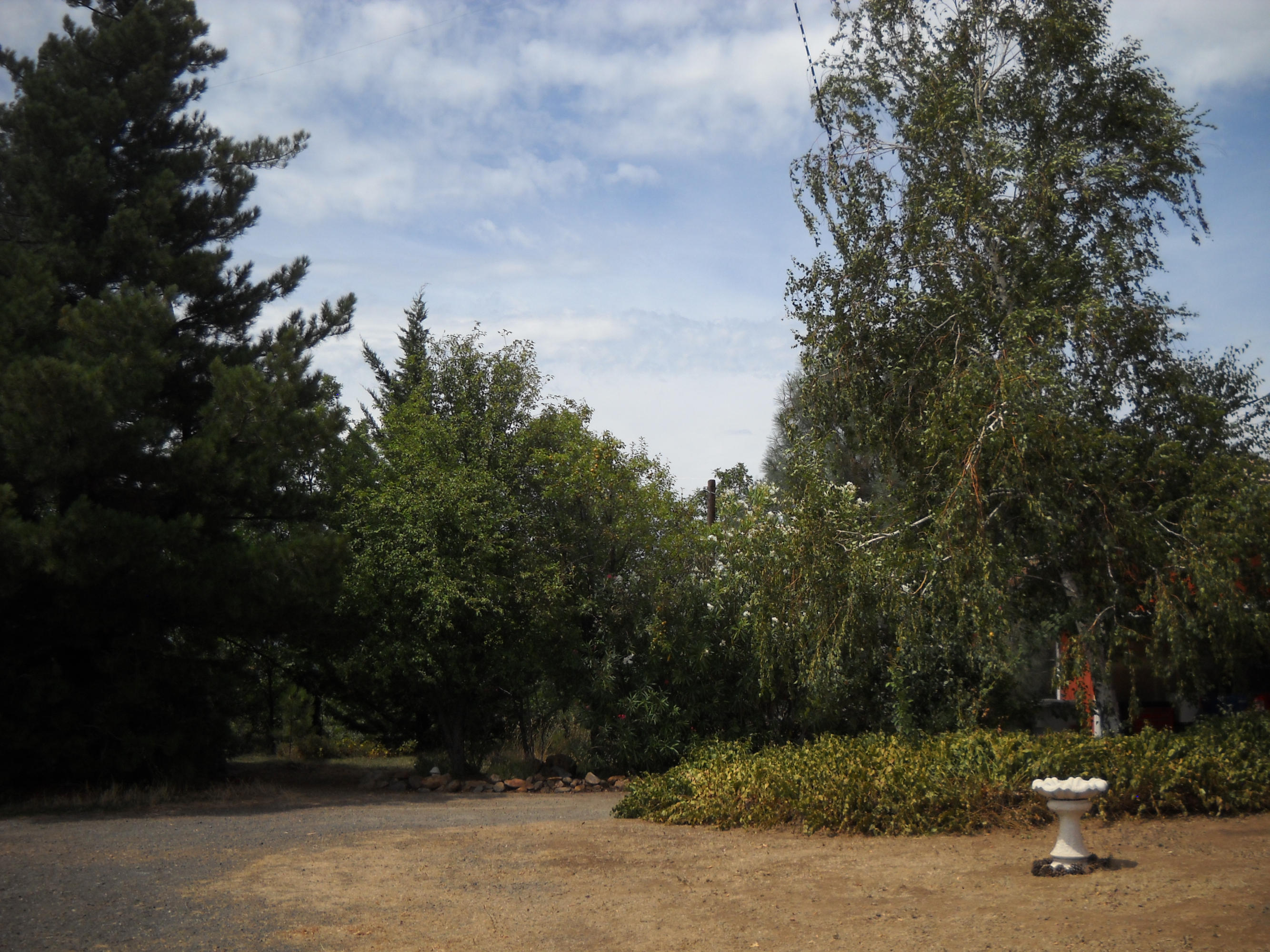 30191 Frisby Road Round Mountain, CA 96084 - Photo 22 of 33 Property
