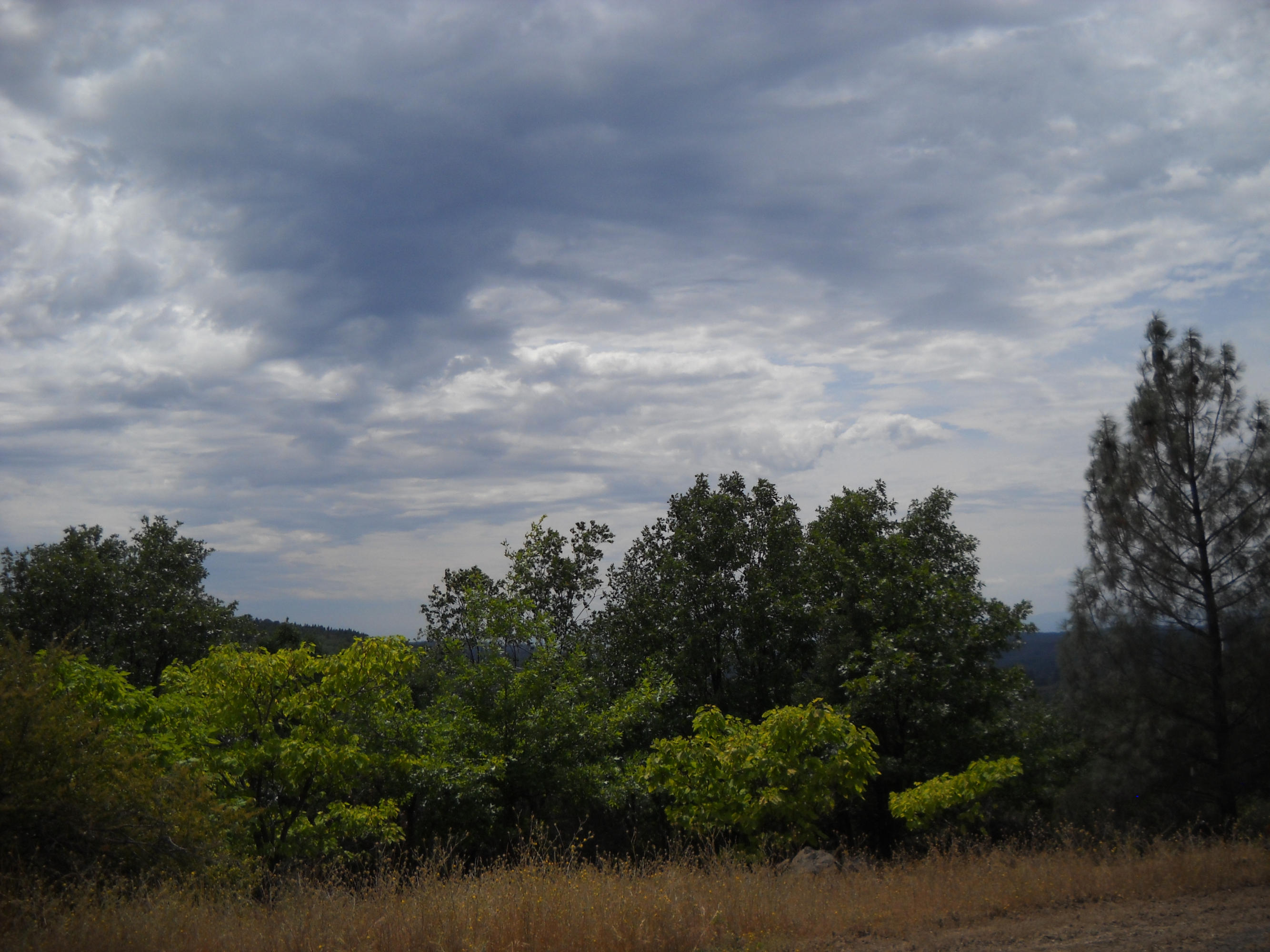 30191 Frisby Road Round Mountain, CA 96084 - Photo 23 of 33 Property south westerly side