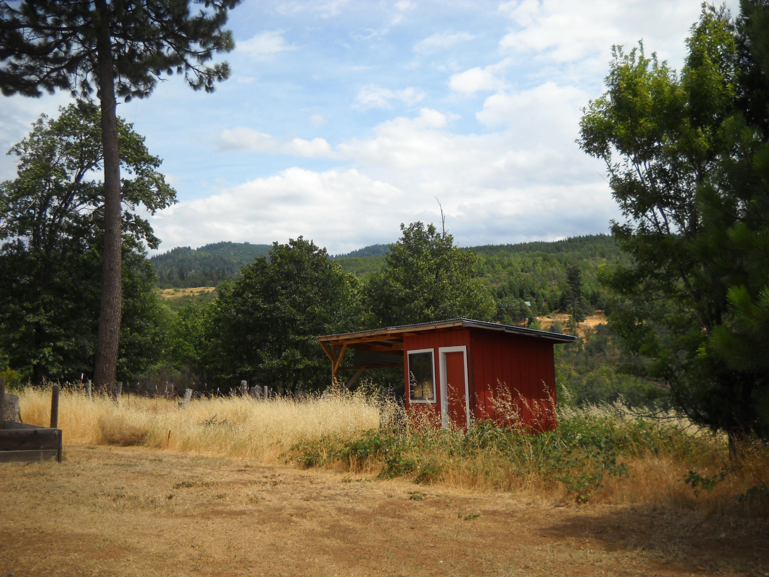 30191 Frisby Road Round Mountain, CA 96084 - Photo 24 of 33 Pretty trees and well house