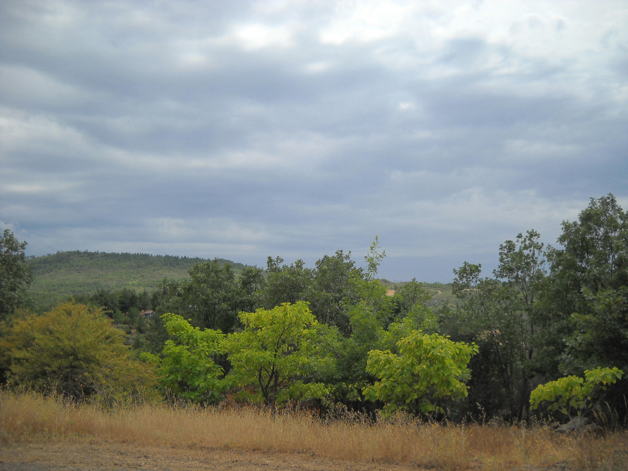 30191 Frisby Road Round Mountain, CA 96084 - Photo 26 of 33 Property