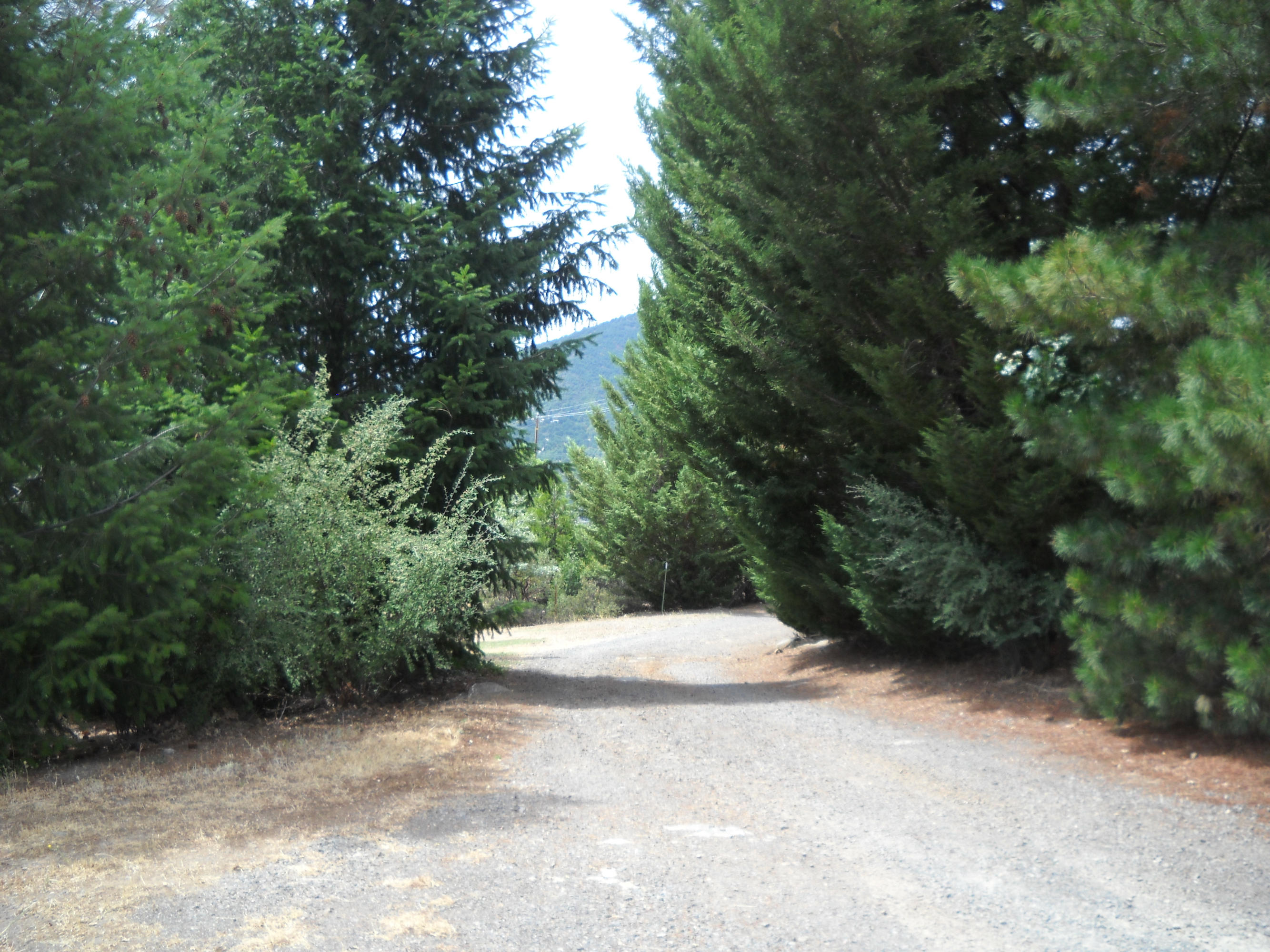 30191 Frisby Road Round Mountain, CA 96084 - Photo 31 of 33 Exit from home