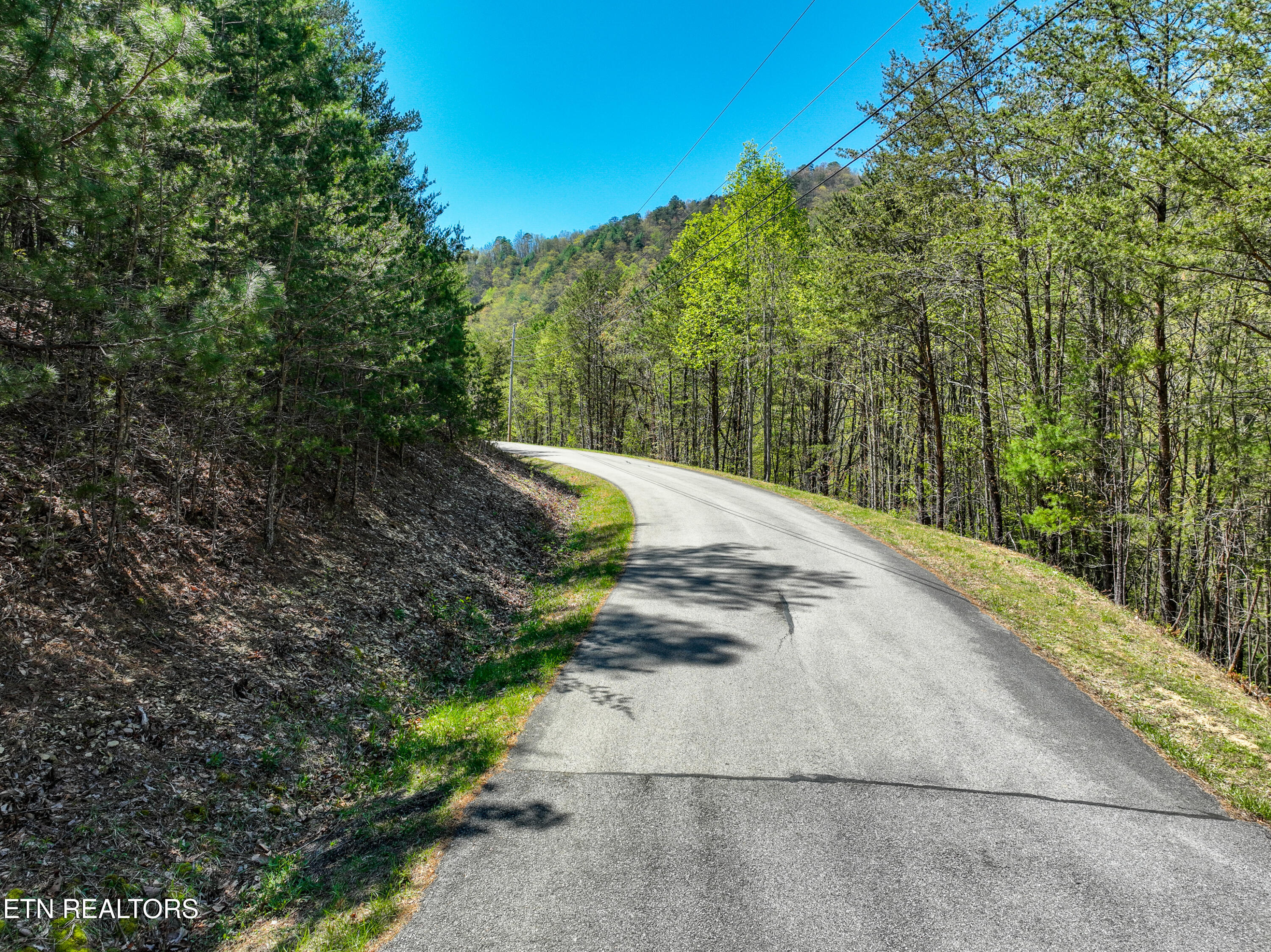 Bear Den Road Townsend, TN 37882 - Photo 12 of 23 Dsc_2990-14