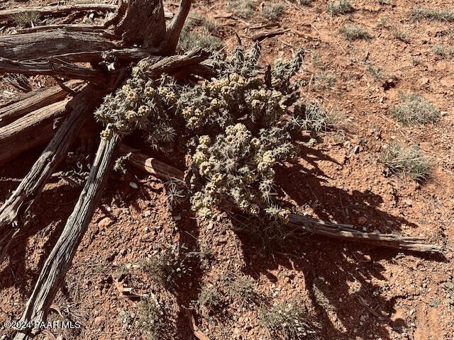0 Arizona Road Ash Fork, AZ 86320 - Photo 17 of 20 IMG_7175