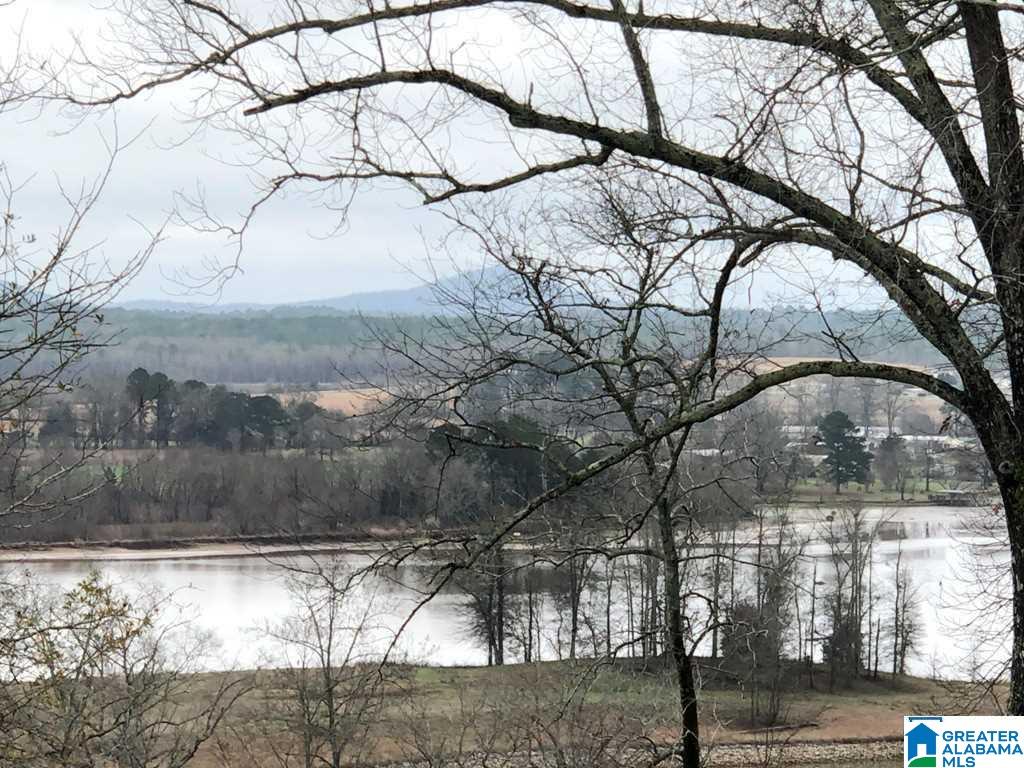 114 Overlook Ridge Lincoln, AL 35096 - Photo 15 of 18