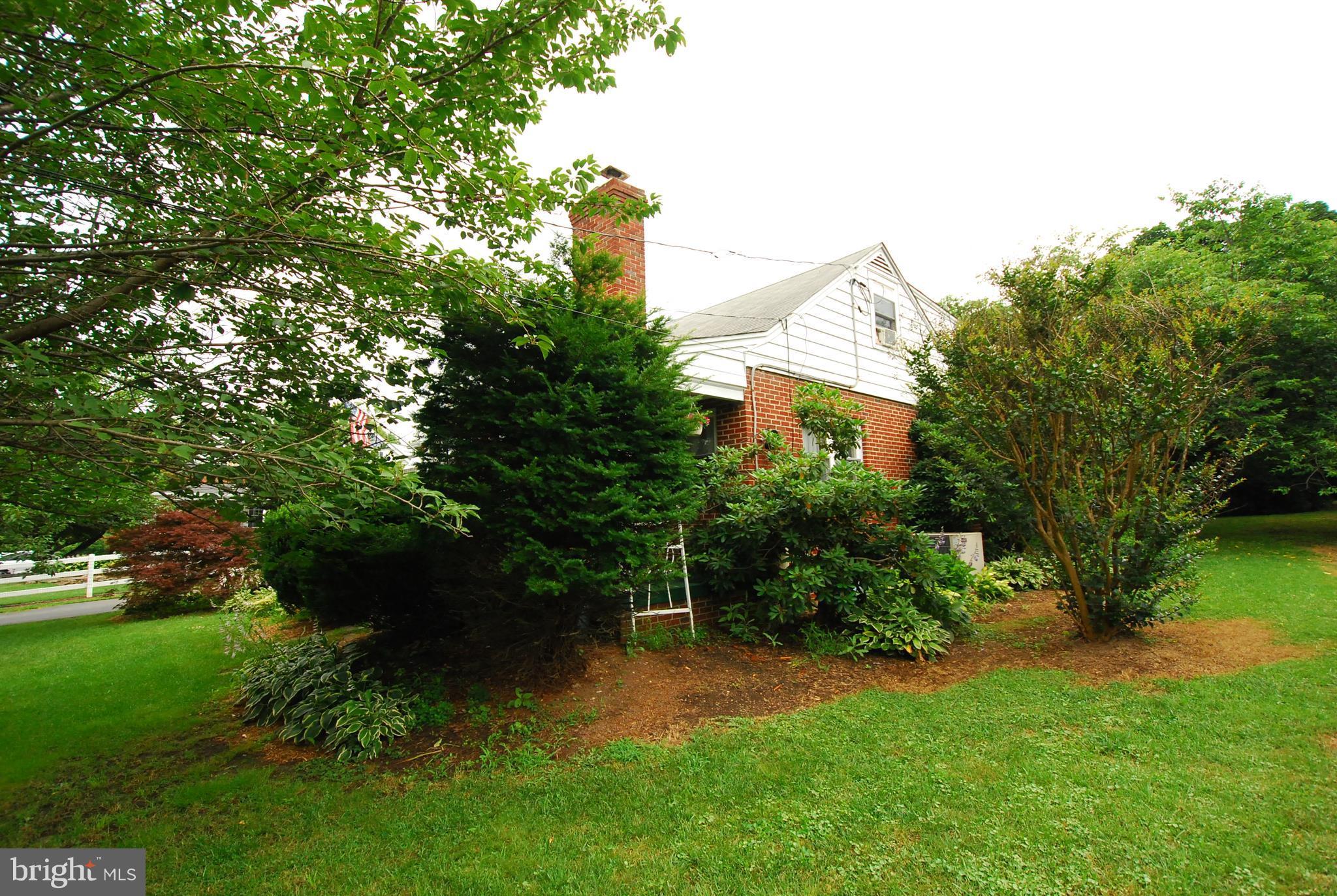 26609 Ridge Road Damascus, MD 20872 - Photo 3 of 17 a view of a backyard with plants and a large tree