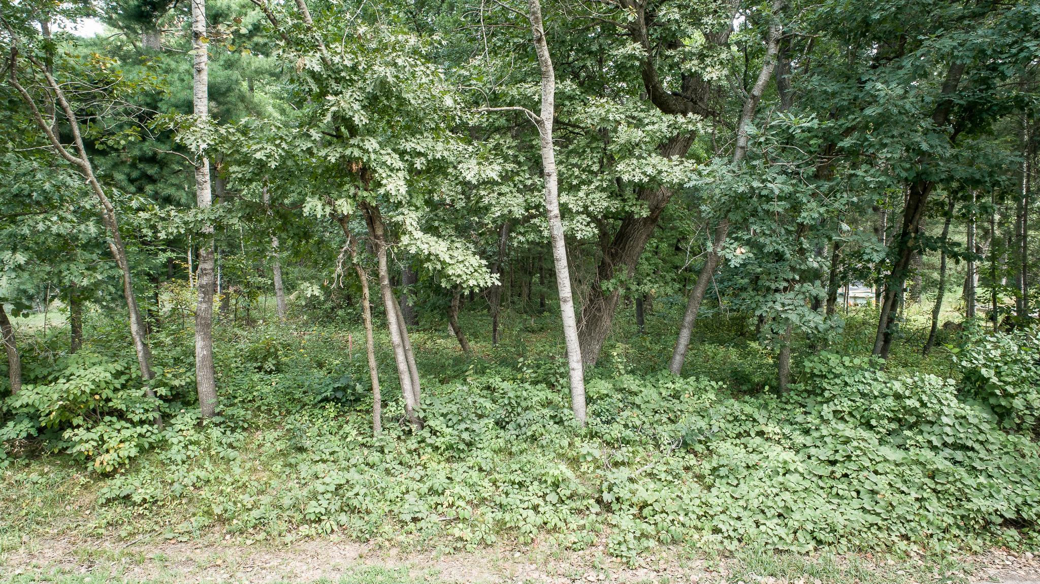 Tbd 241st Avenue Northeast Stacy, MN 55079 - Photo 19 of 28 Gallery Image 19