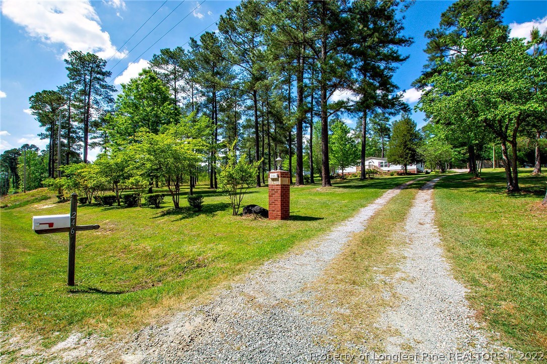 246 Loop Road Raeford, NC 28376 - Photo 2 of 42 a view of a park with large trees