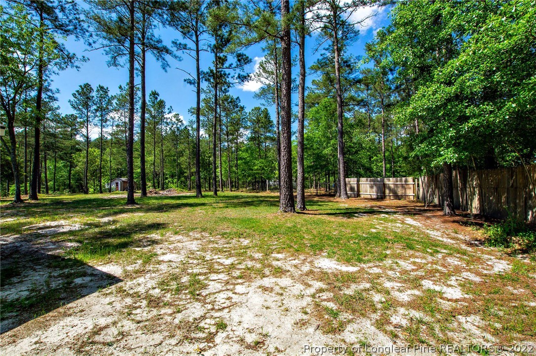 246 Loop Road Raeford, NC 28376 - Photo 39 of 42 a view of a park with tree s