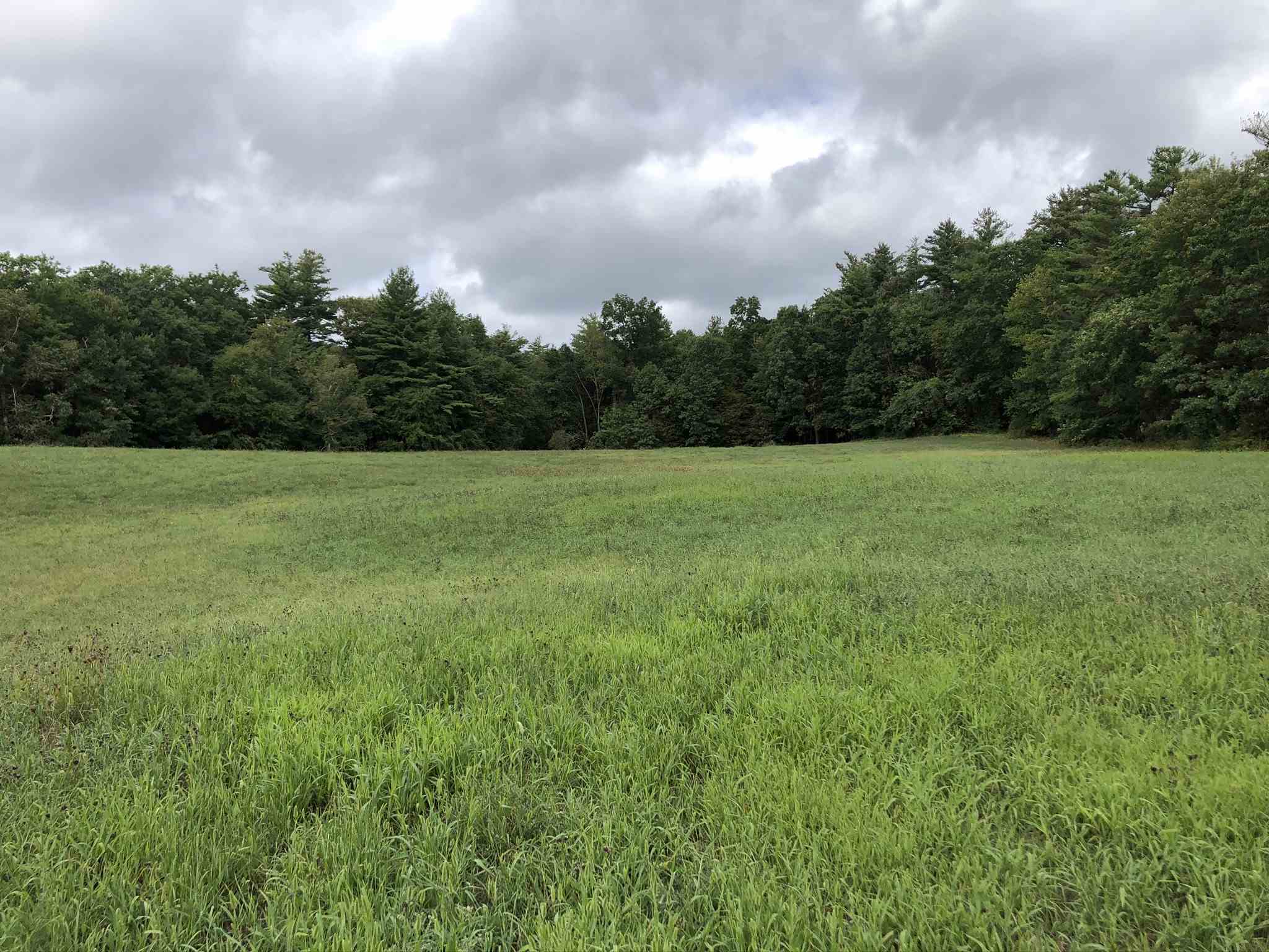 Lot 85-3 Harantis Lake Road Chester, NH 03036 - Photo 4 of 16