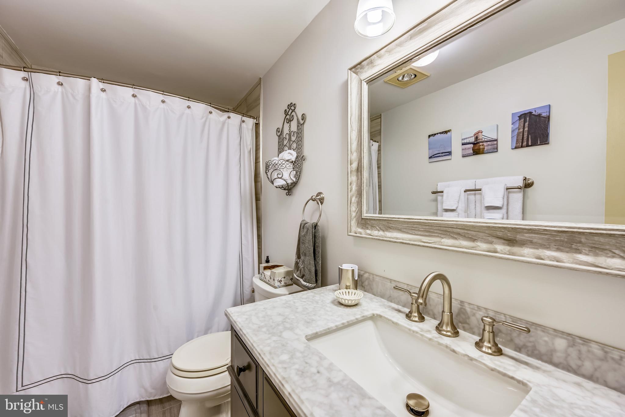7319 Bobo Link Court Columbia, MD 21046 - Photo 23 of 27 Hall bath
