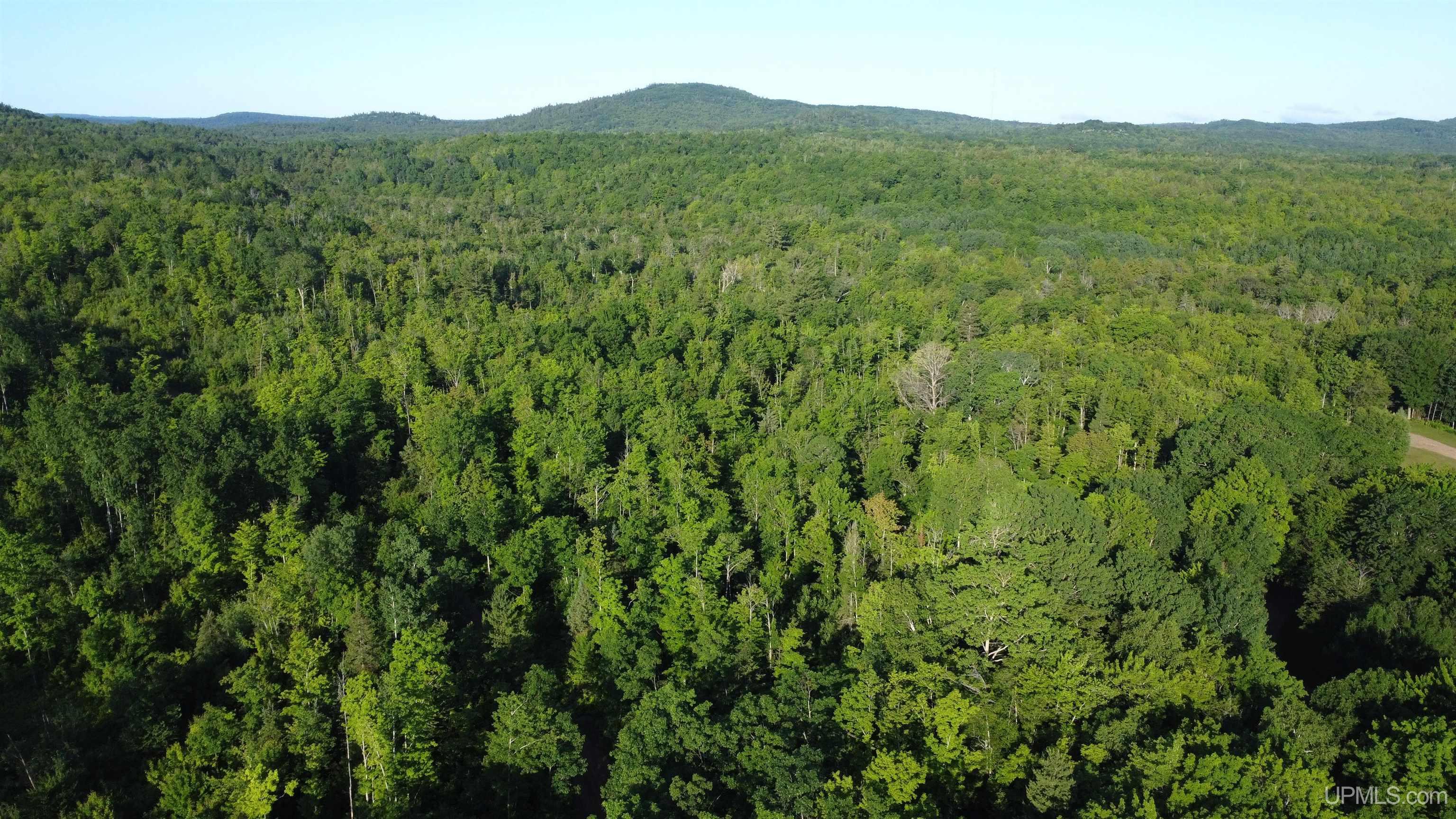 On Alder Cr Road Marquette, MI 49855 - Photo 13 of 20