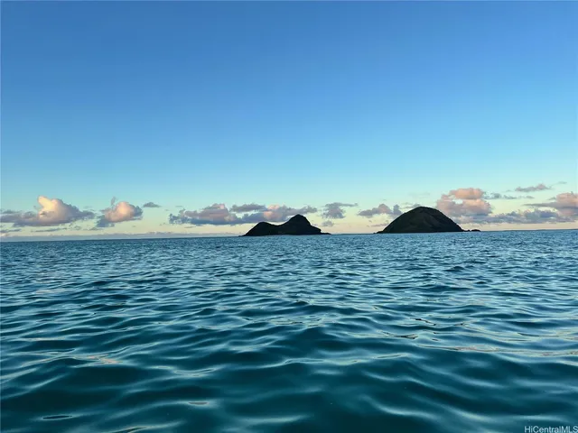a view of city and lake