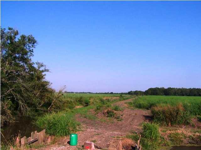 0 Old Jeanerette Road New Iberia, LA 70563 - Photo 8 of 12 Additional Photo