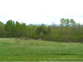358 Swamp Road Cornwall, VT 05753 - Photo 2 of 10