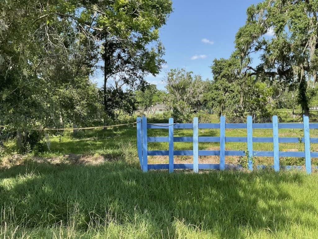 2663 Blue Lake Angleton, TX 77515 - Photo 2 of 6 a view of a garden with a small park