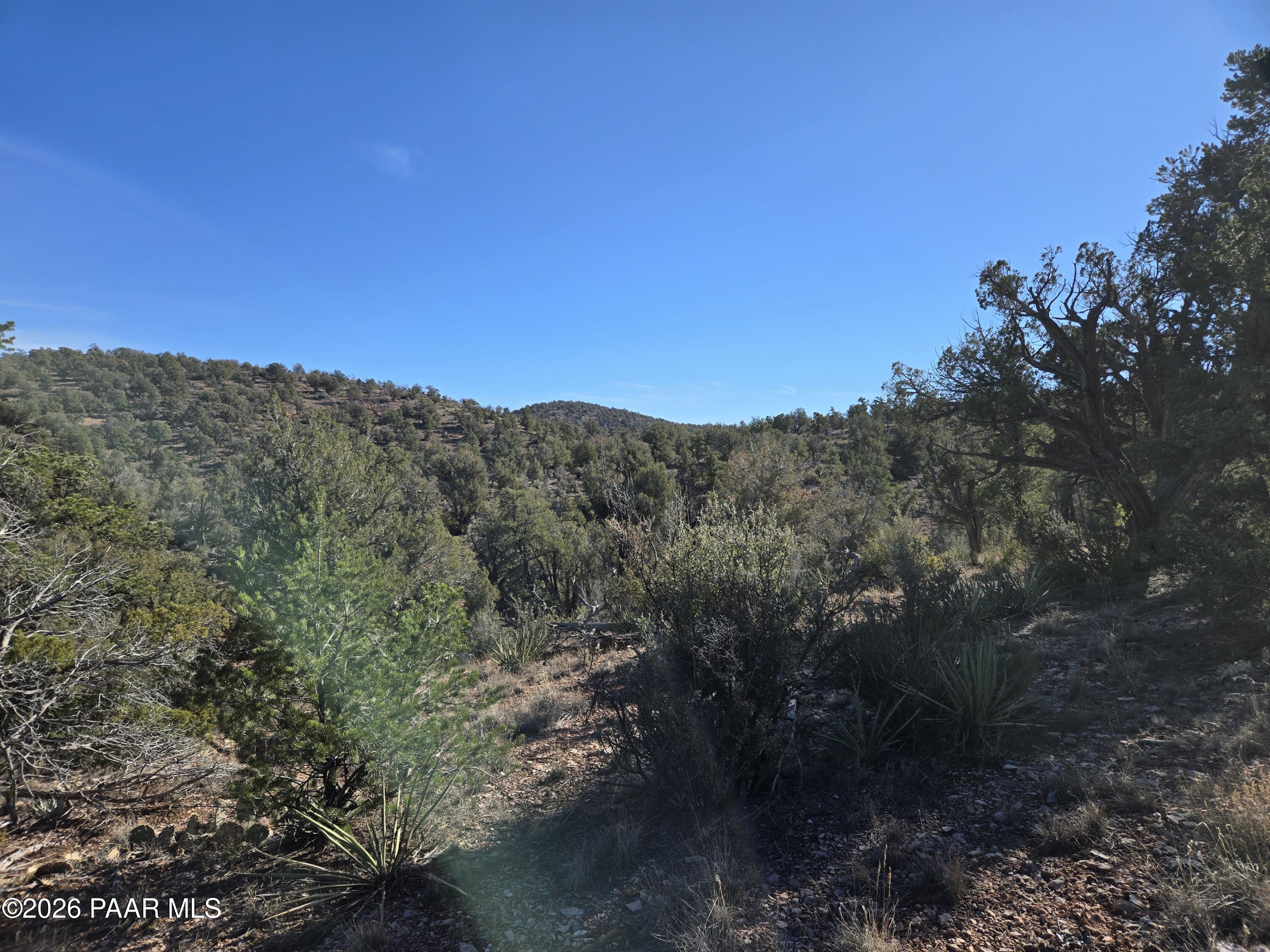 138 Arizona Road Ash Fork, AZ 86320 - Photo 14 of 21 a view of a field