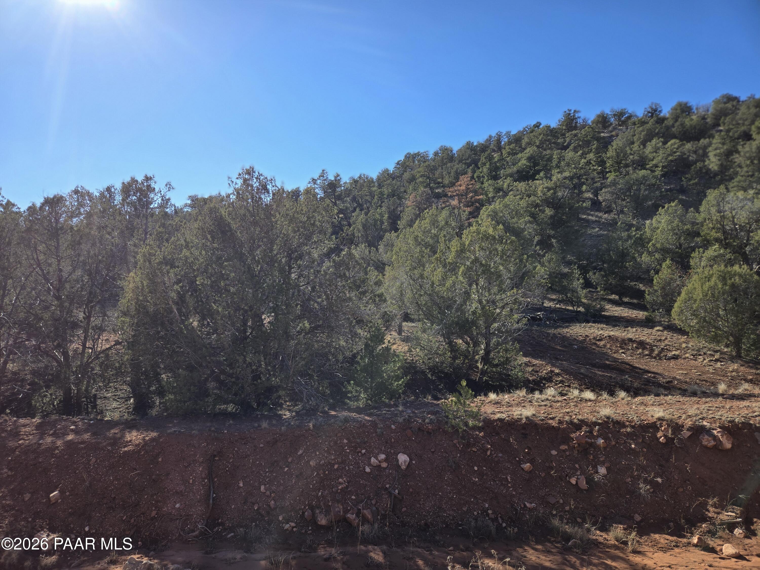 138 Arizona Road Ash Fork, AZ 86320 - Photo 15 of 21 a view of a street with a trees in the background