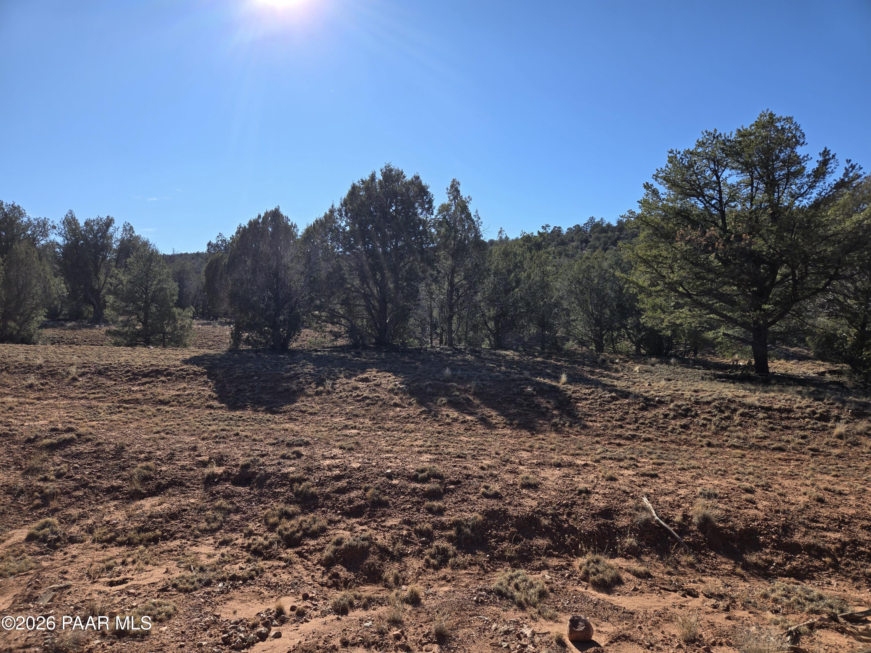 138 Arizona Road Ash Fork, AZ 86320 - Photo 16 of 21 a view of a dry yard with trees