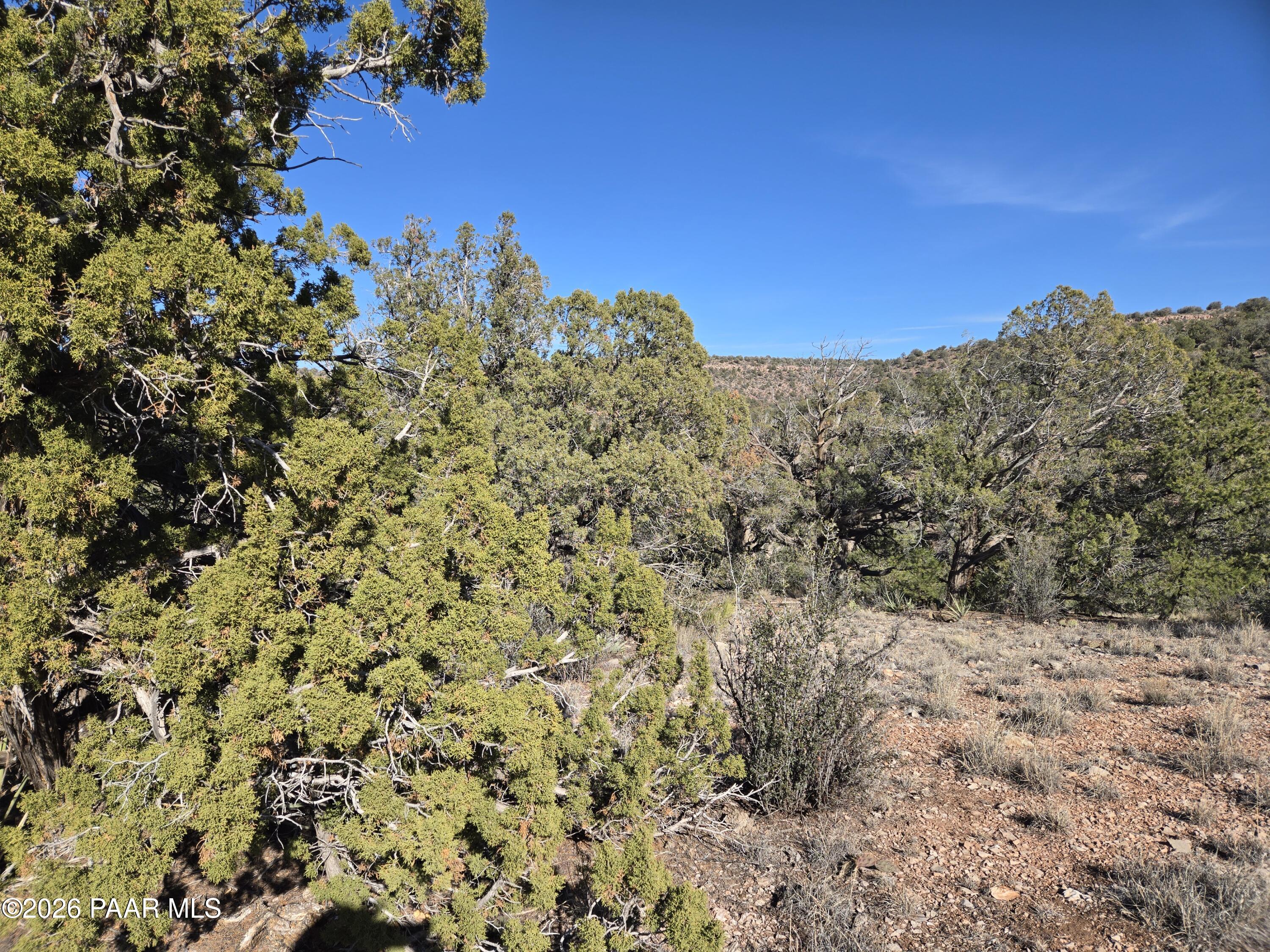 138 Arizona Road Ash Fork, AZ 86320 - Photo 20 of 25 20260206_145602