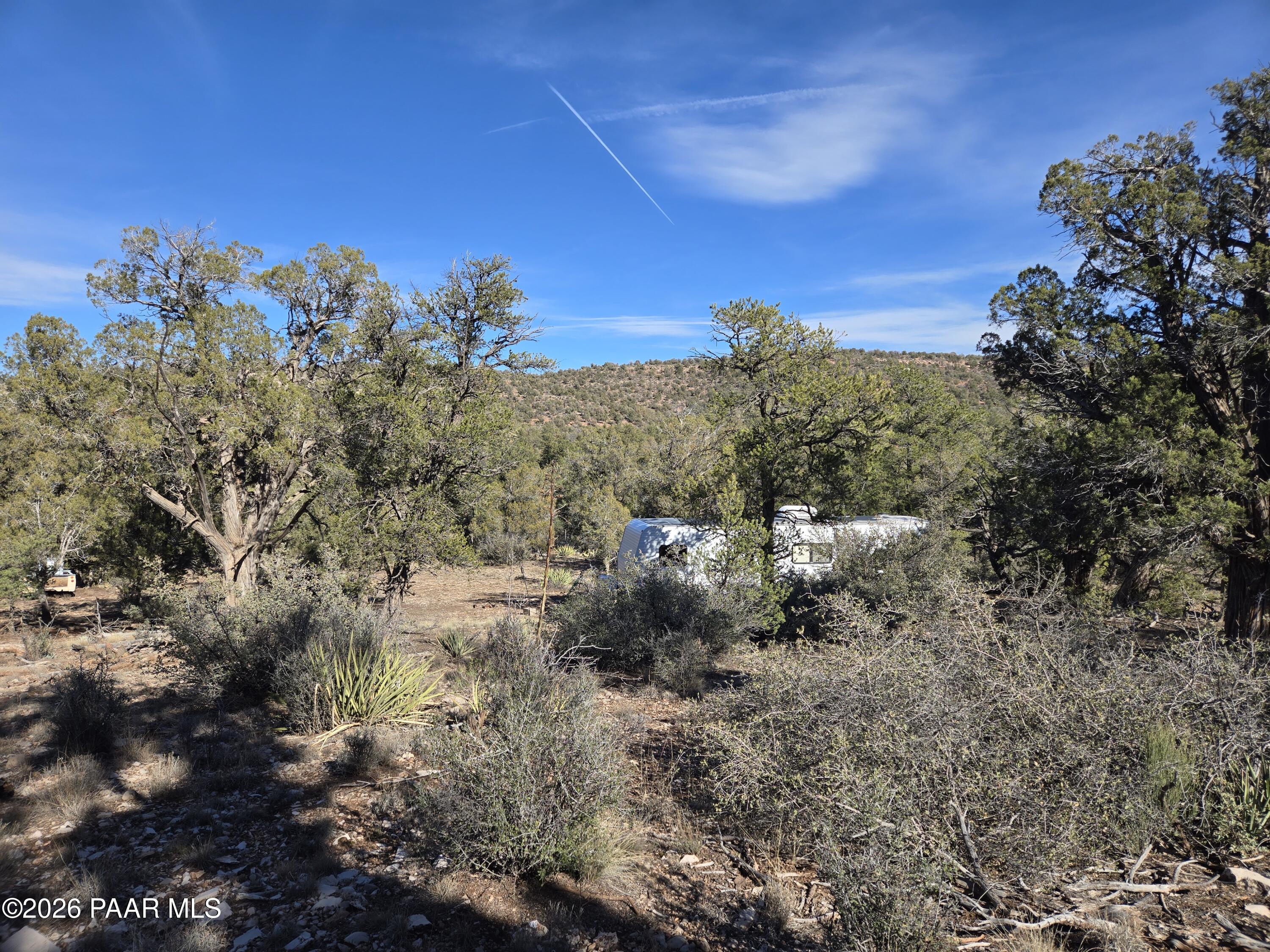 138 Arizona Road Ash Fork, AZ 86320 - Photo 3 of 21 a view of a bunch of trees in a field