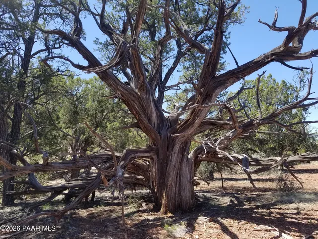 $65,000 | 138 Arizona Road, Ash Fork, AZ 86320