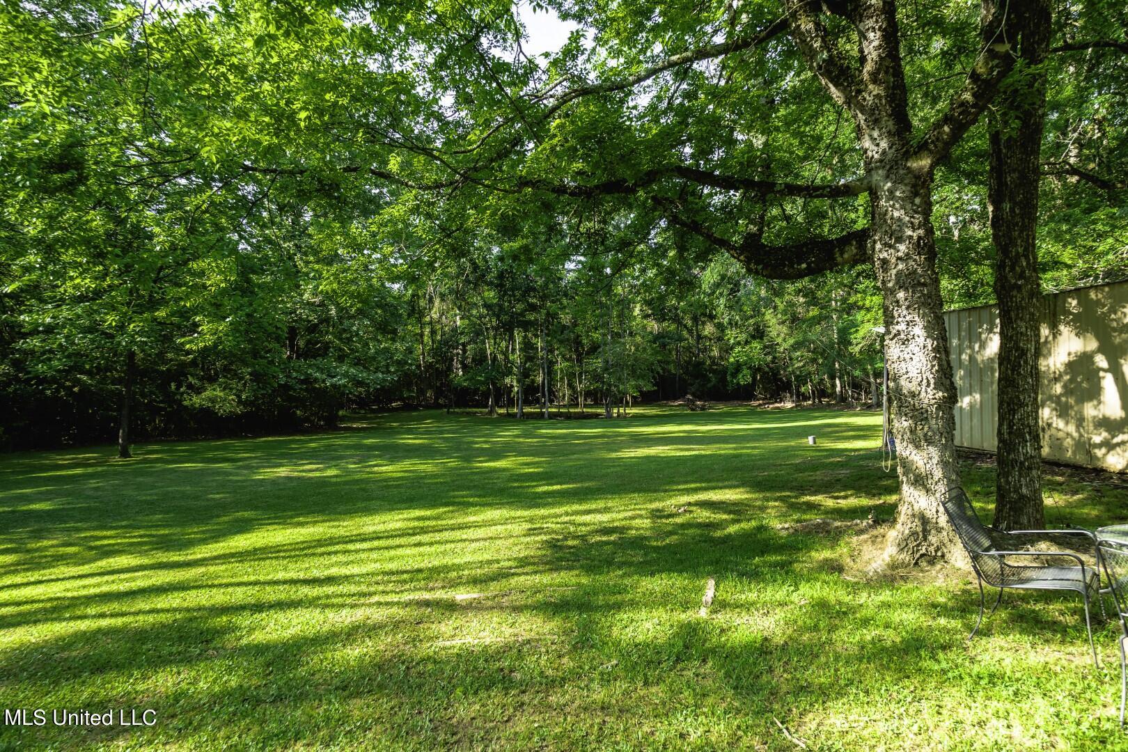 513 McCluer Road Jackson, MS 39212 - Photo 7 of 23 P5010005