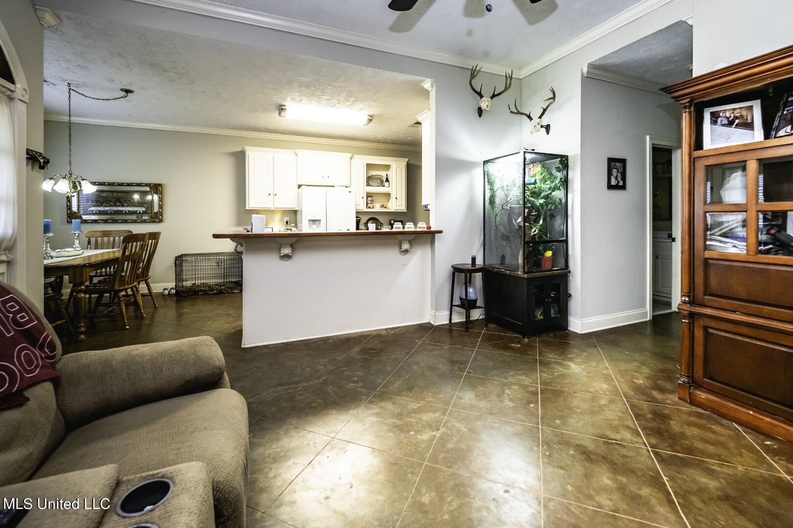 513 McCluer Road Jackson, MS 39212 - Photo 10 of 23 P5010010