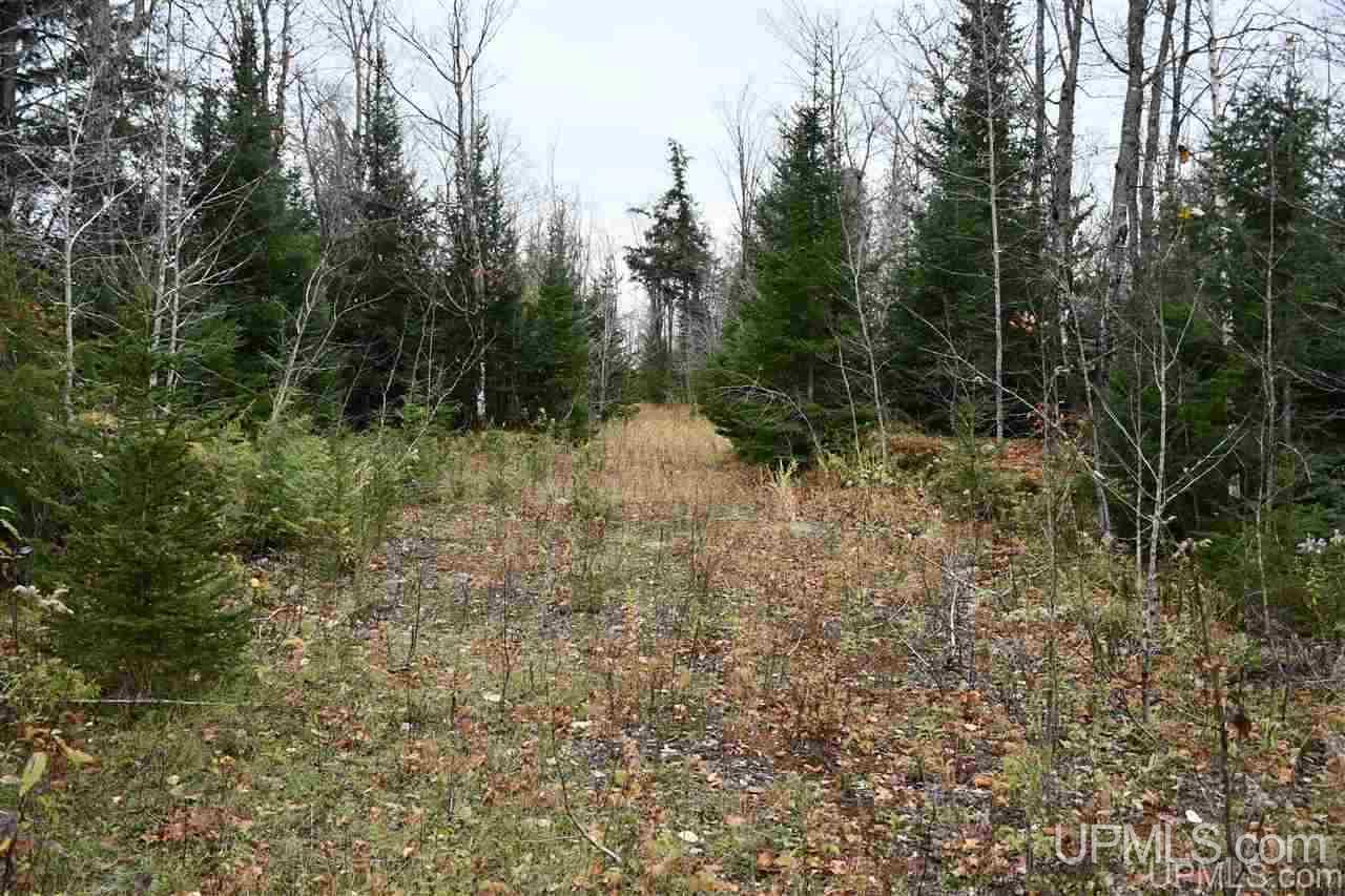 75-acres West Cold Springs Road Chatham, MI 49816 - Photo 4 of 42