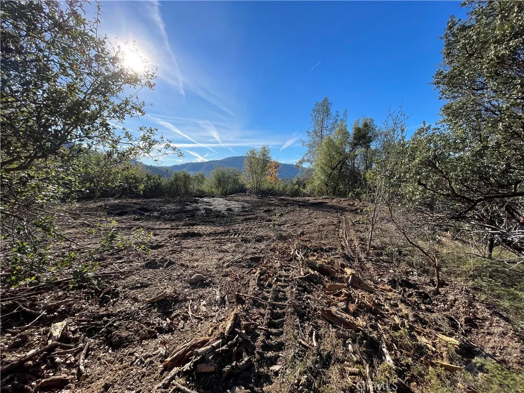 20 Harris Cut Off Road Mariposa, CA 95338 - Photo 3 of 10 a view of a yard with a tree
