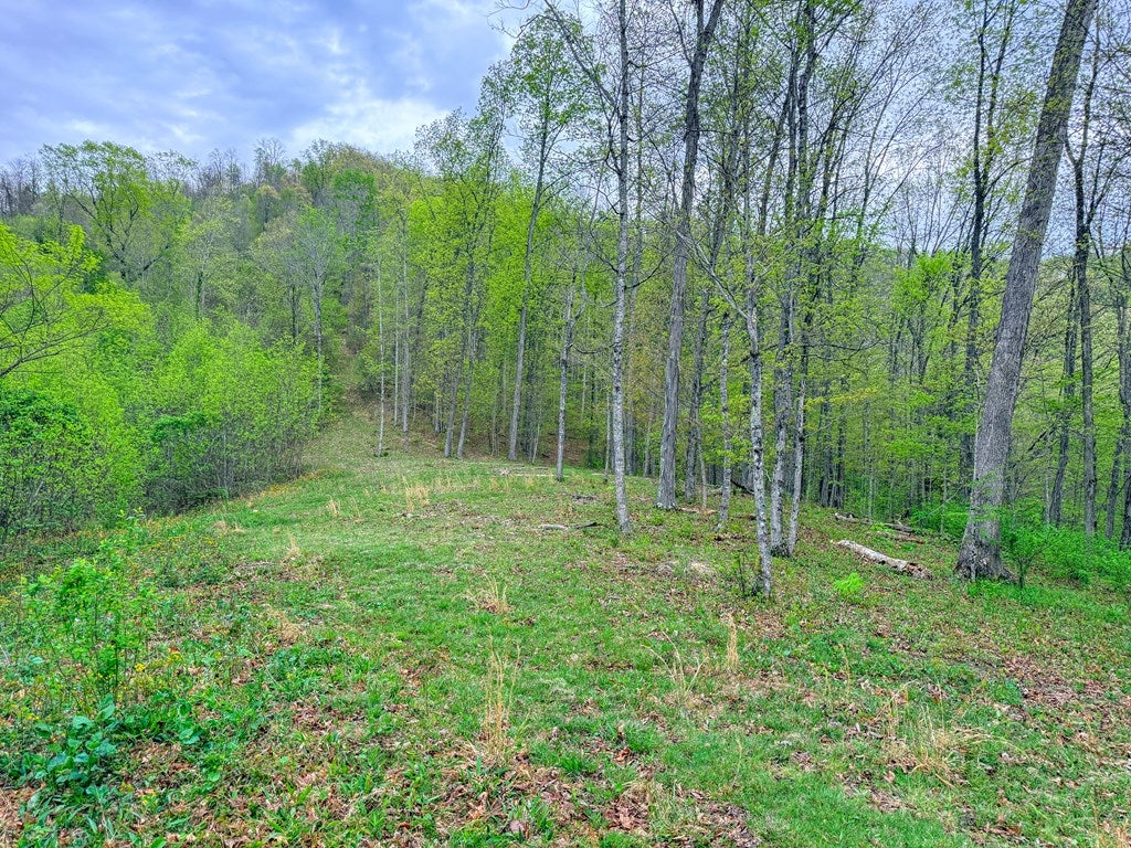 2789 Dry Fork Road, Unit 10 Bandy, VA 24602 - Photo 20 of 59 Gallery Image 20