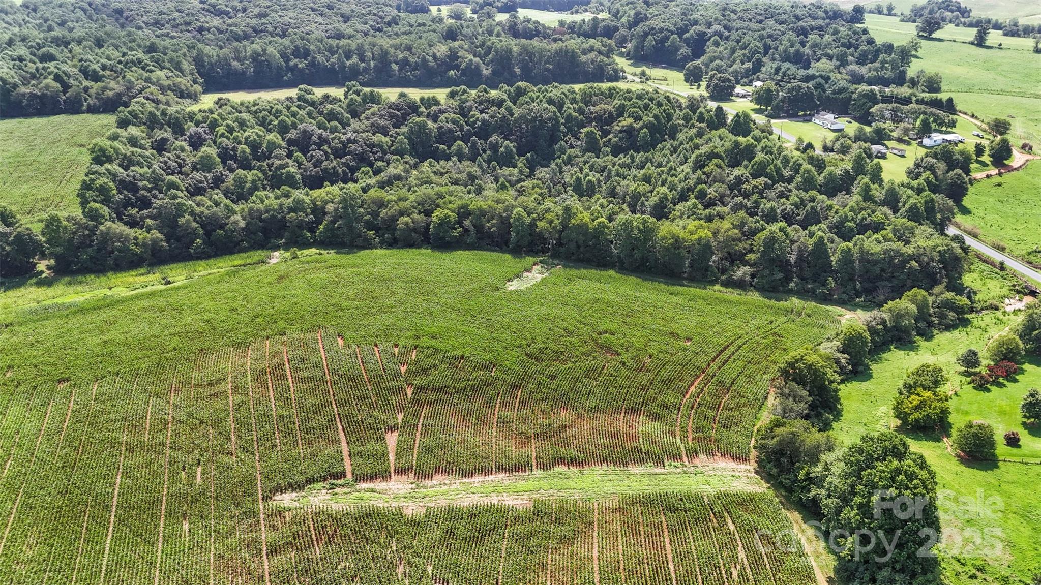 906 East Monbo Road Statesville, NC 28677 - Photo 30 of 30 a view of yard