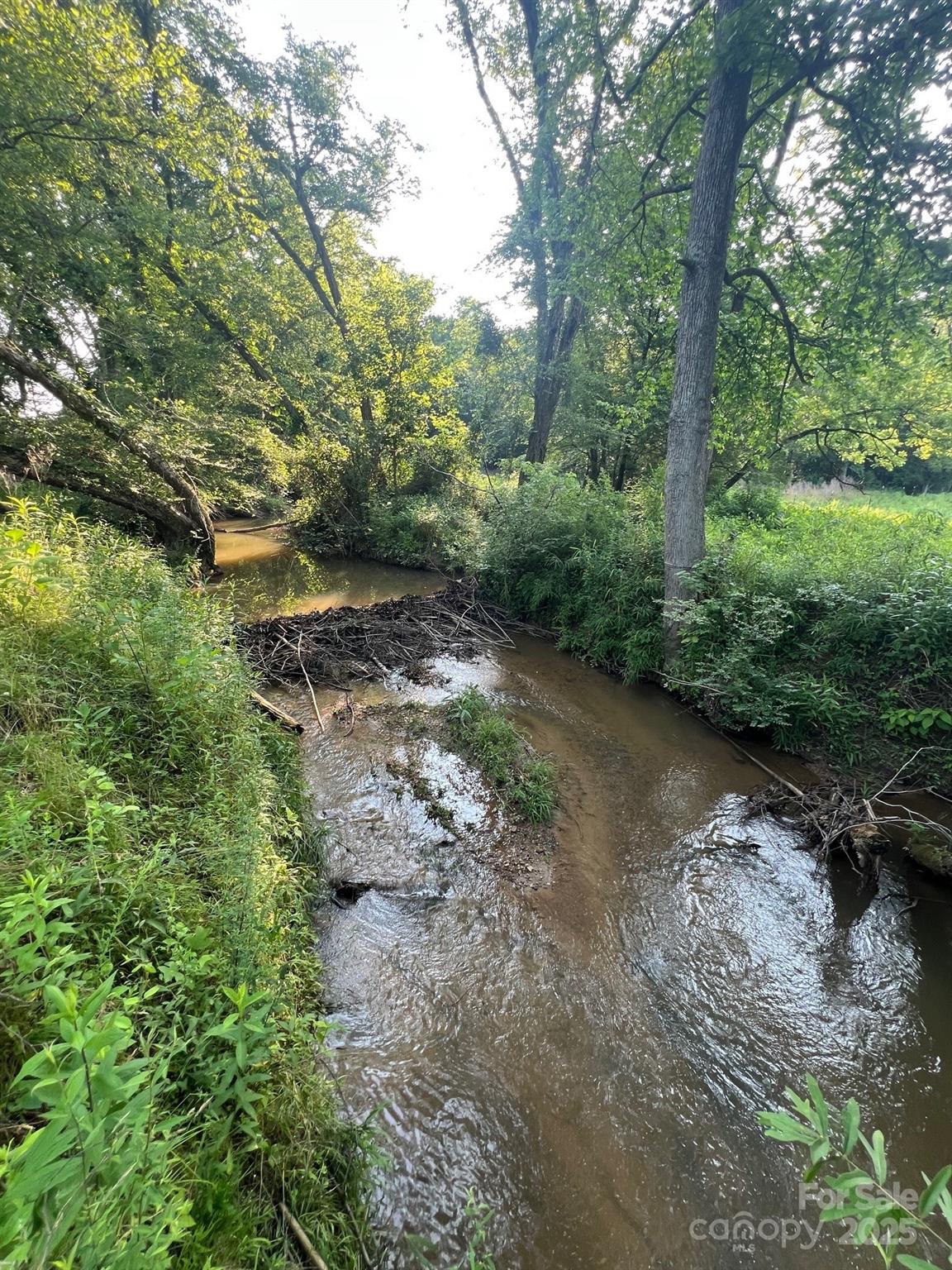 906 East Monbo Road Statesville, NC 28677 - Photo 3 of 30 a view of a forest with trees